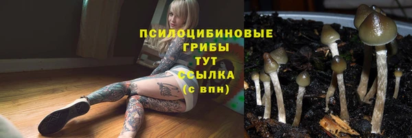 ALPHA PVP Богданович