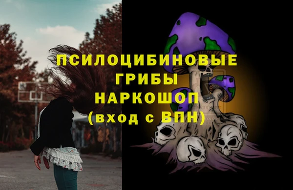 ALPHA PVP Богданович
