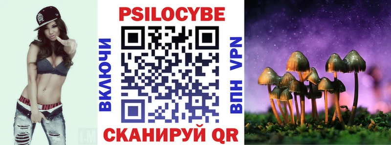 Купить Камень-на-Оби Псилоцибиновые грибы мухоморы